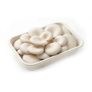 Nấm bào ngư trắng (sò trắng) | Khay 500g