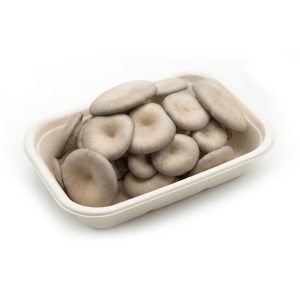 Nấm tú cầu | Khay 500g